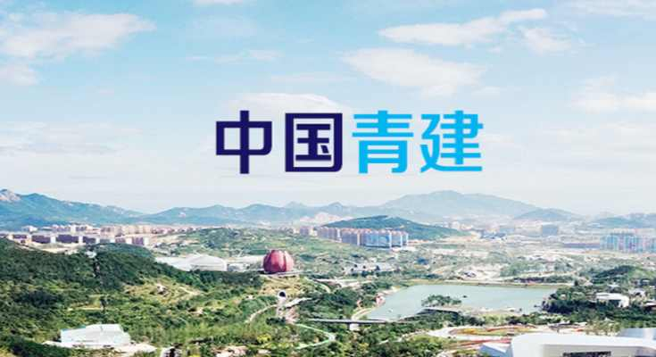 青xxxx集团股份有限公司